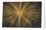 Burst by Anonymous