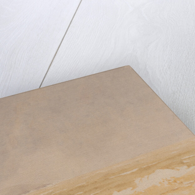 A gale, Douglas by John Miller Nicholson