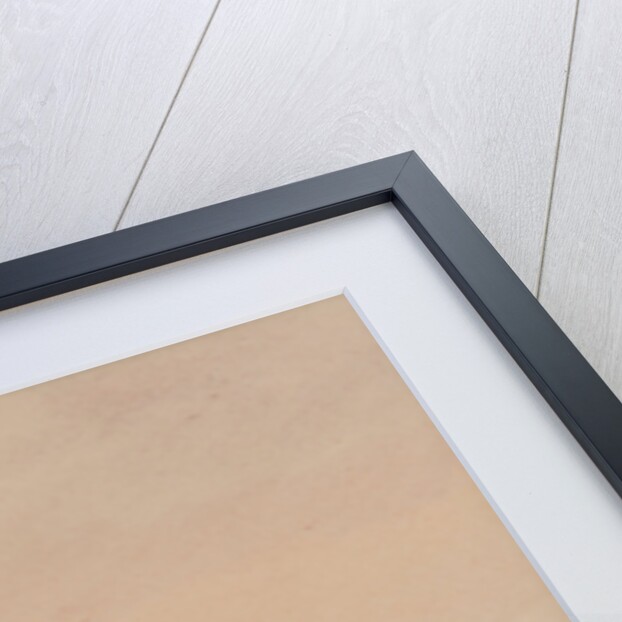 Banks Howe, Douglas by John Miller Nicholson