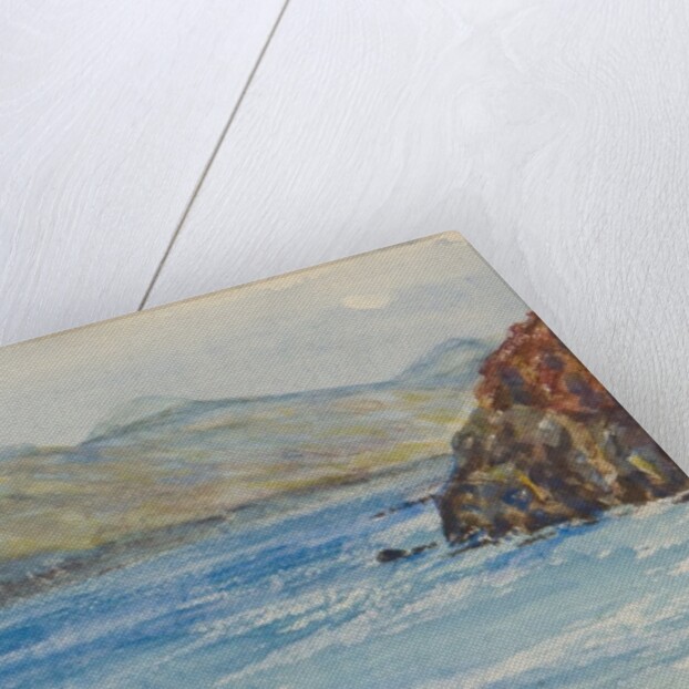 From the Calf by Unknown