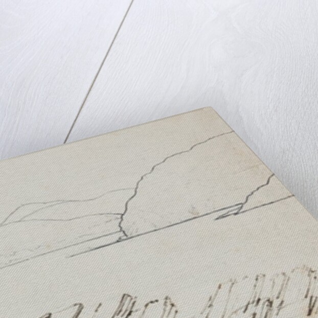 Contrary Head, Patrick by Will Latham