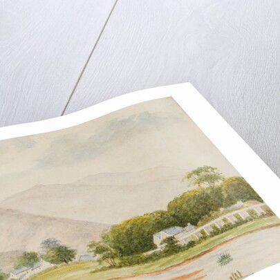 The Claddagh by Unknown