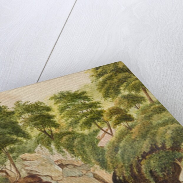 The Waterfall Ballure Glen by Unknown