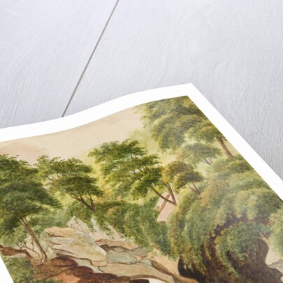 The Waterfall Ballure Glen by Unknown