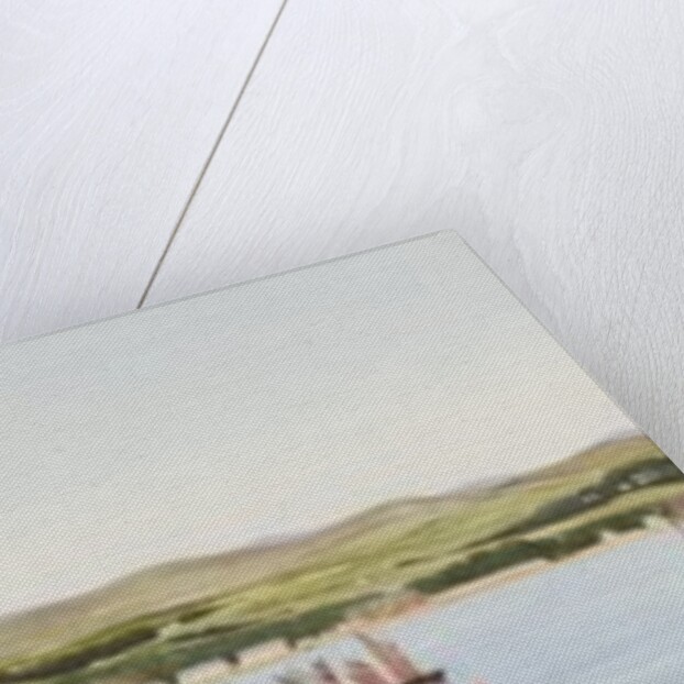 Douglas Bay by Emily M. Fane