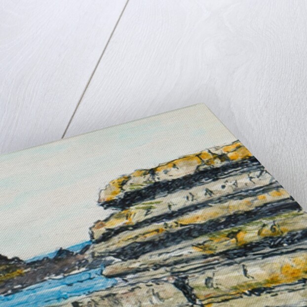 Scarlett, Castletown by Harold H. Cresswell