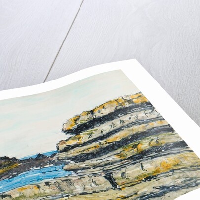 Scarlett, Castletown by Harold H. Cresswell