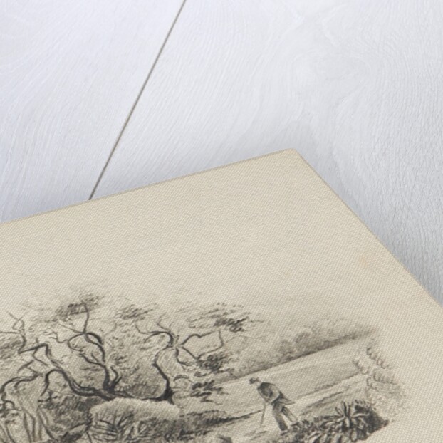 Farmer with cattle by Unknown