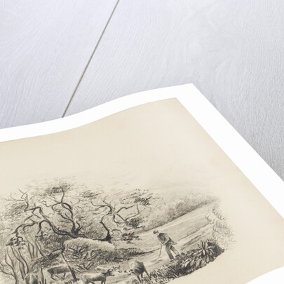 Farmer with cattle by Unknown