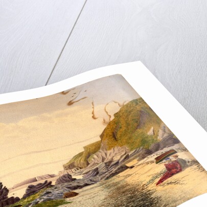 Mr Quirk's Balladha Beach, Dalby by Robert Evans Creer