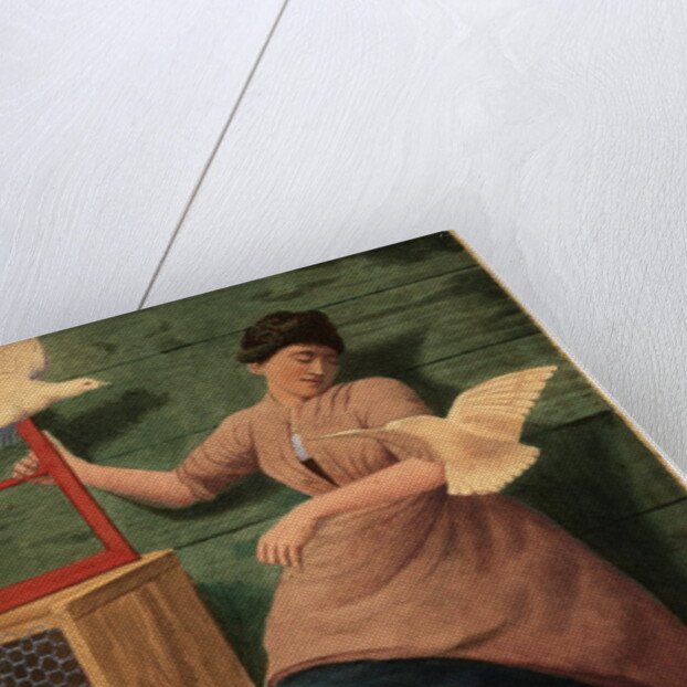 Doves by Robert Evans Creer