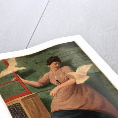 Doves by Robert Evans Creer