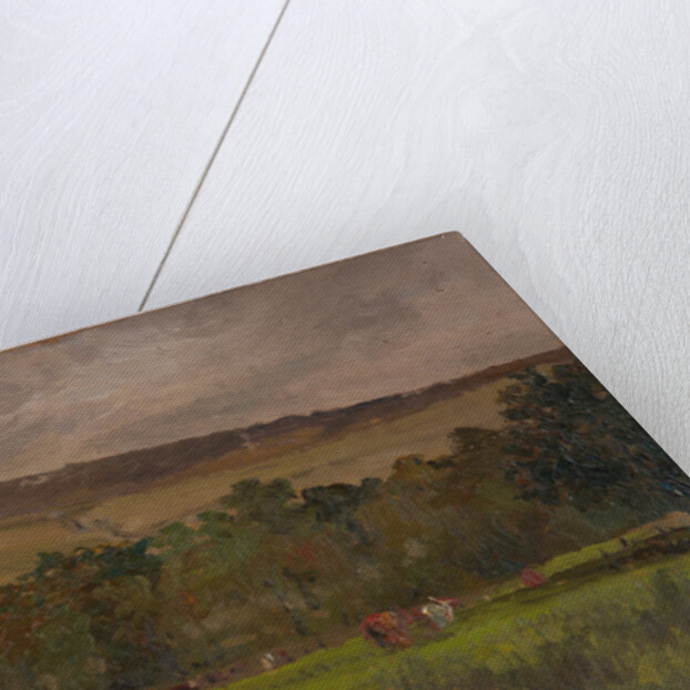 Pastoral landscape by John Miller Nicholson