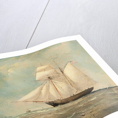 Schooner 'William' of Douglas by Anonymous