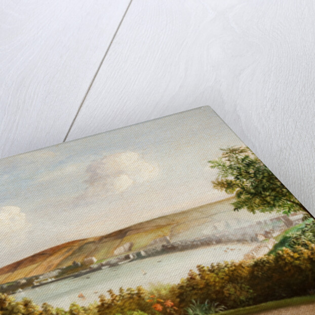 Douglas from Castle Hill Garden by Will Johnson