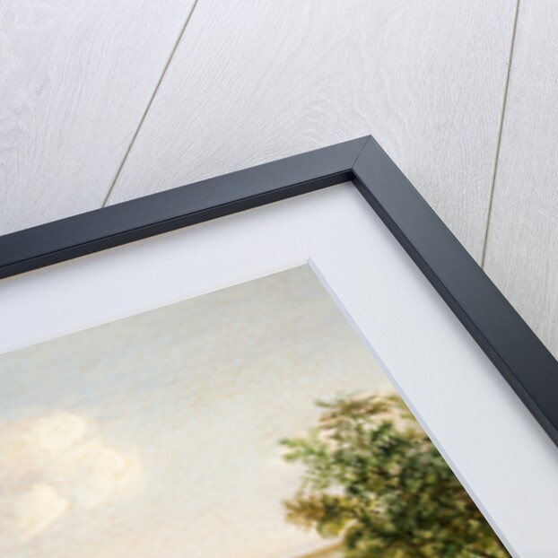 Douglas from Castle Hill Garden by Will Johnson