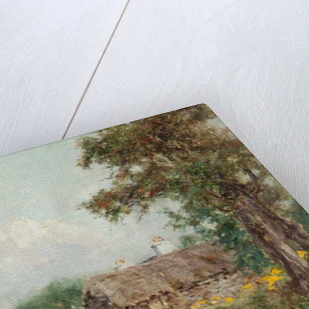 Ballaterson, Ballaugh by Henry John King