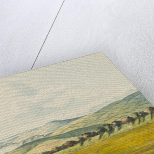 Tour through the Isle of Man in July 1815 by S. D. Swarbreck