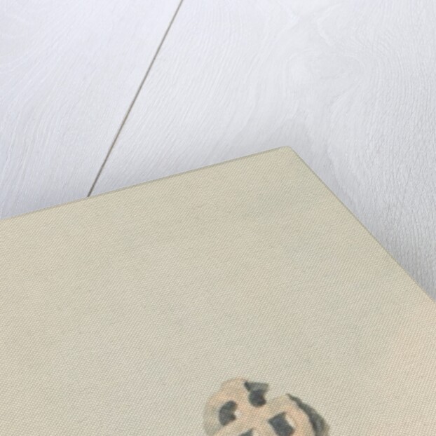 Tour through the Isle of Man in July 1815 by S. D. Swarbreck