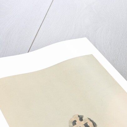 Tour through the Isle of Man in July 1815 by S. D. Swarbreck