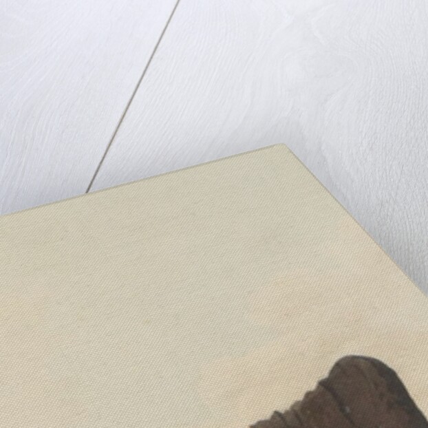 Tour through the Isle of Man in July 1815 by S. D. Swarbreck