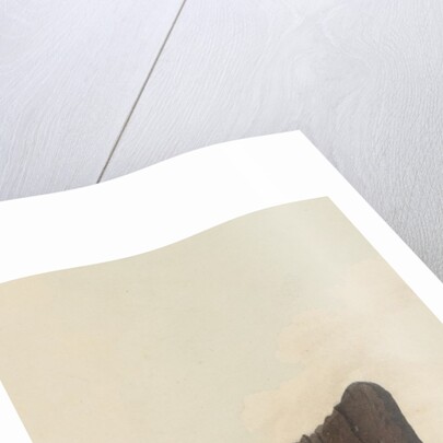 Tour through the Isle of Man in July 1815 by S. D. Swarbreck