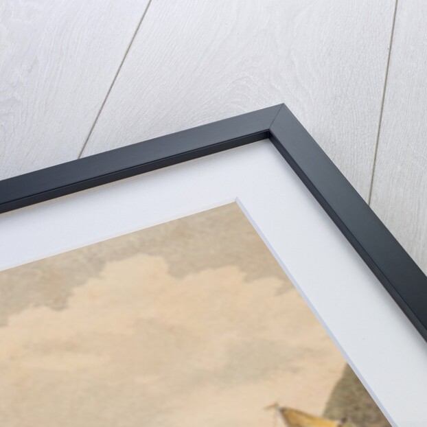 A Tour through the Isle of Man exhibiting a short account of its scenery antiquities and monuments by a Commissioner by William Gerard Walmesley