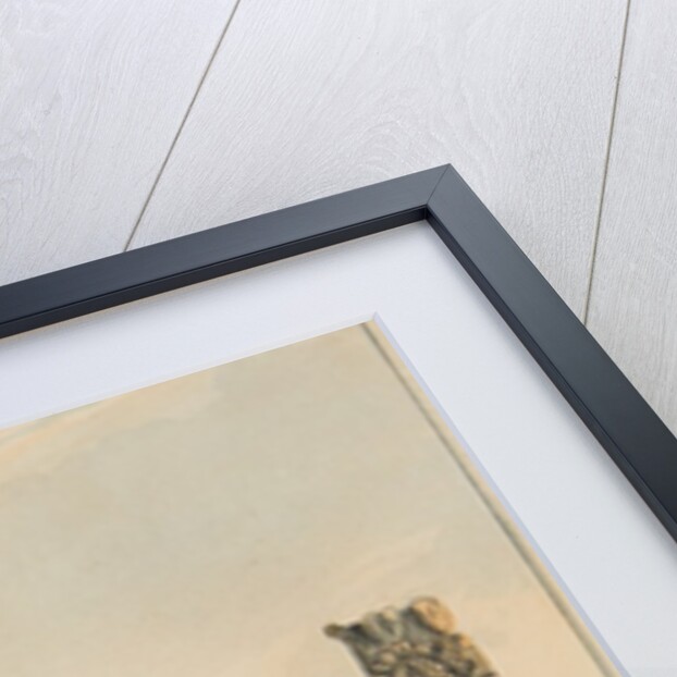 A Tour through the Isle of Man exhibiting a short account of its scenery antiquities and monuments by a Commissioner by William Gerard Walmesley