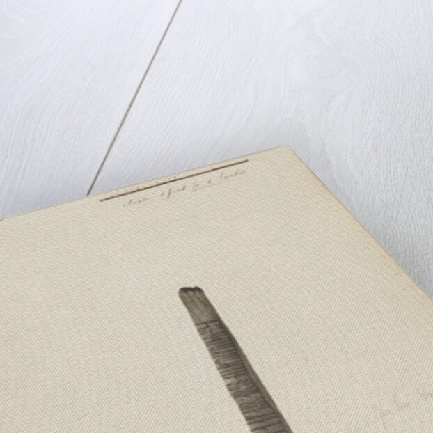 Runic monuments of the Isle of Man by George William Carrington