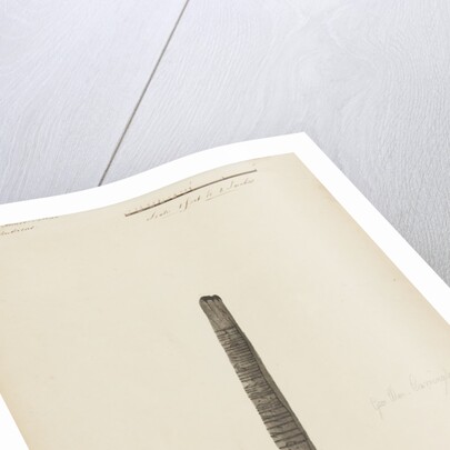 Runic monuments of the Isle of Man by George William Carrington