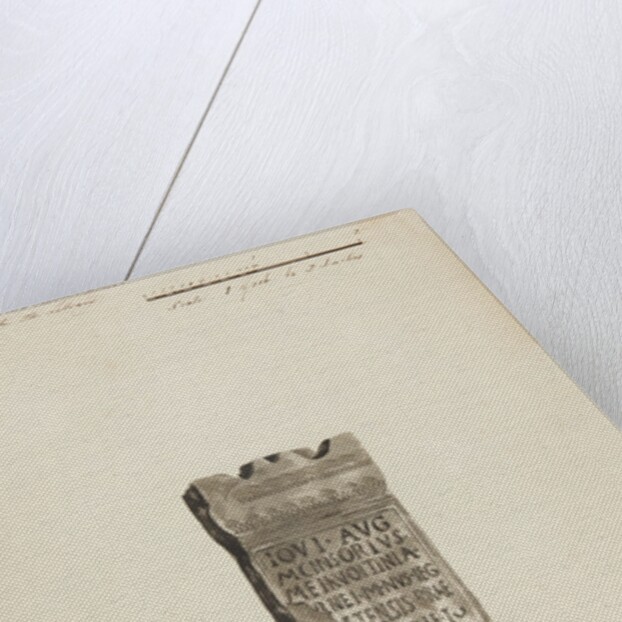 Runic monuments of the Isle of Man by George William Carrington