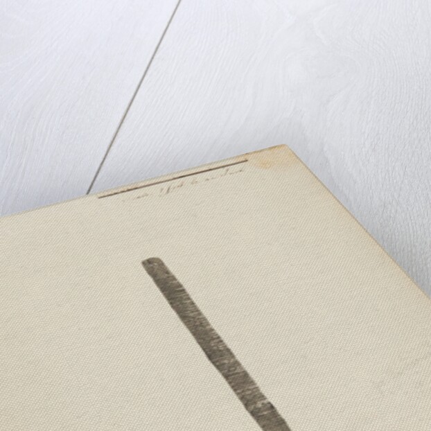 Runic monuments of the Isle of Man by George William Carrington