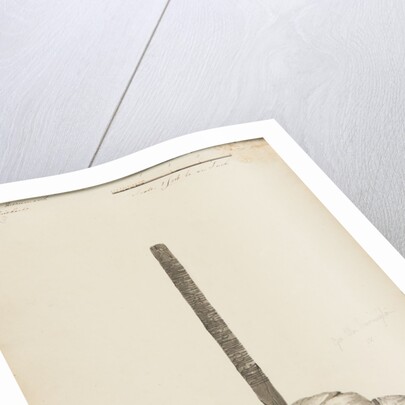 Runic monuments of the Isle of Man by George William Carrington