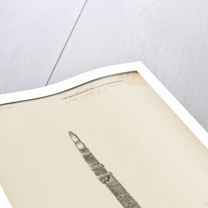 Runic monuments of the Isle of Man by George William Carrington