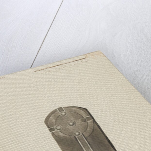 Runic monuments of the Isle of Man by George William Carrington