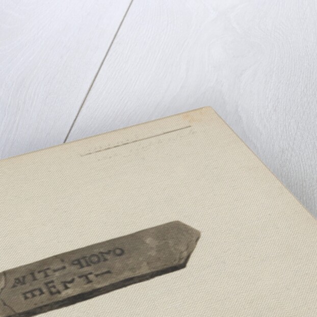 Runic monuments of the Isle of Man by George William Carrington