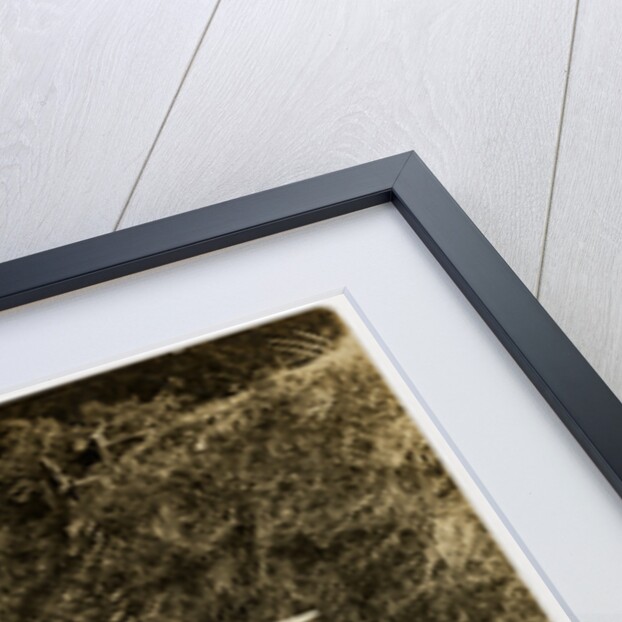 W. Watson, winner of 1908 Tourist Trophy motorcar race by Anonymous