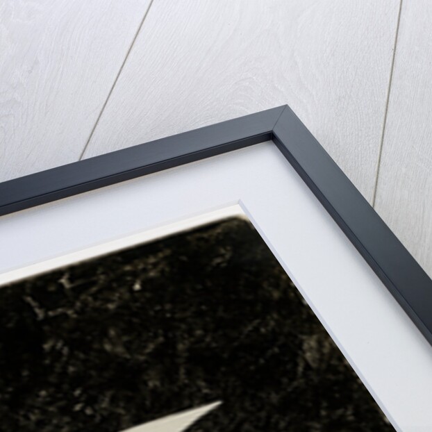 W. Watson in a Napier Hutton,1908 Tourist Trophy motorcar race by Anonymous