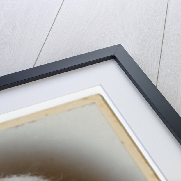 Mrs Hall Caine by George Bellett Cowen