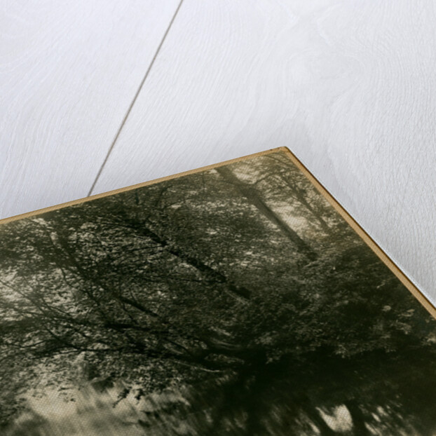 Sulby river by George Bellett Cowen