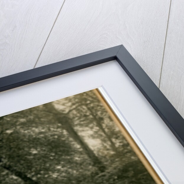 Sulby river by George Bellett Cowen