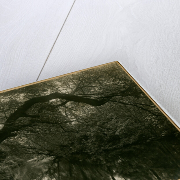 Sulby river by George Bellett Cowen