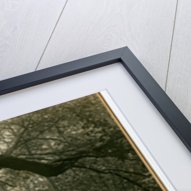 Sulby river by George Bellett Cowen