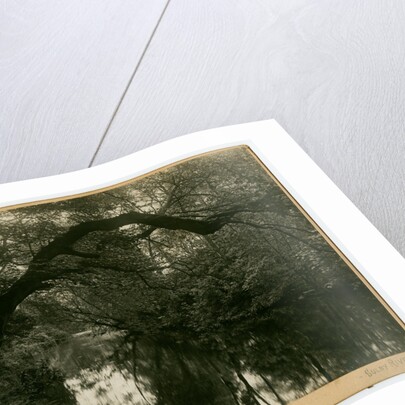 Sulby river by George Bellett Cowen