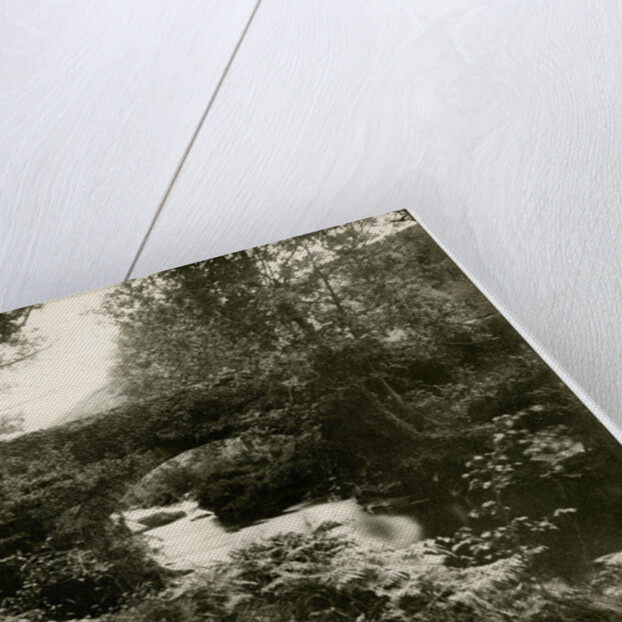 Tholt y Will bridge by George Bellett Cowen