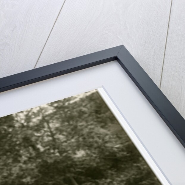 Tholt y Will bridge by George Bellett Cowen