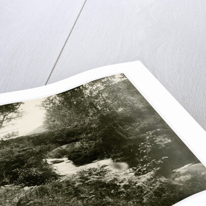 Tholt y Will bridge by George Bellett Cowen