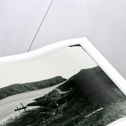 The Calf and Sound by George Bellett Cowen