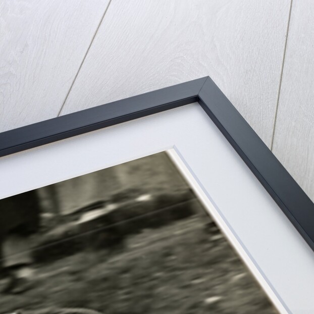 Rupert Hollans, riding NSU number 7, 1954 Lightweight TT (Tourist Trophy) by T.M. Badger