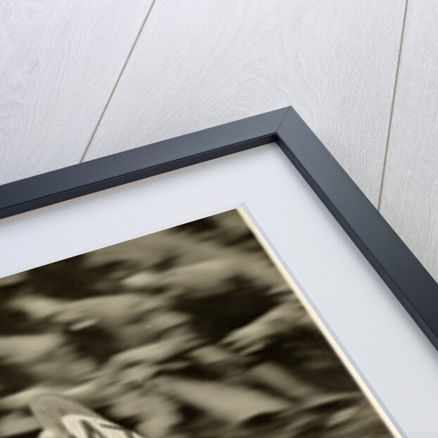 TT (Tourist Trophy) rider Cook from New Zealand aboard Moto Guzzi (number 47) by T.M. Badger